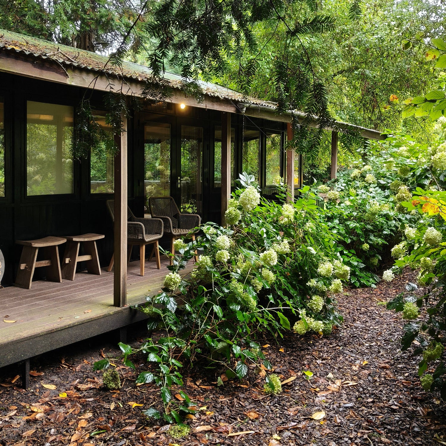 Rustmoment en mini retreat, a Willow afsternoon 